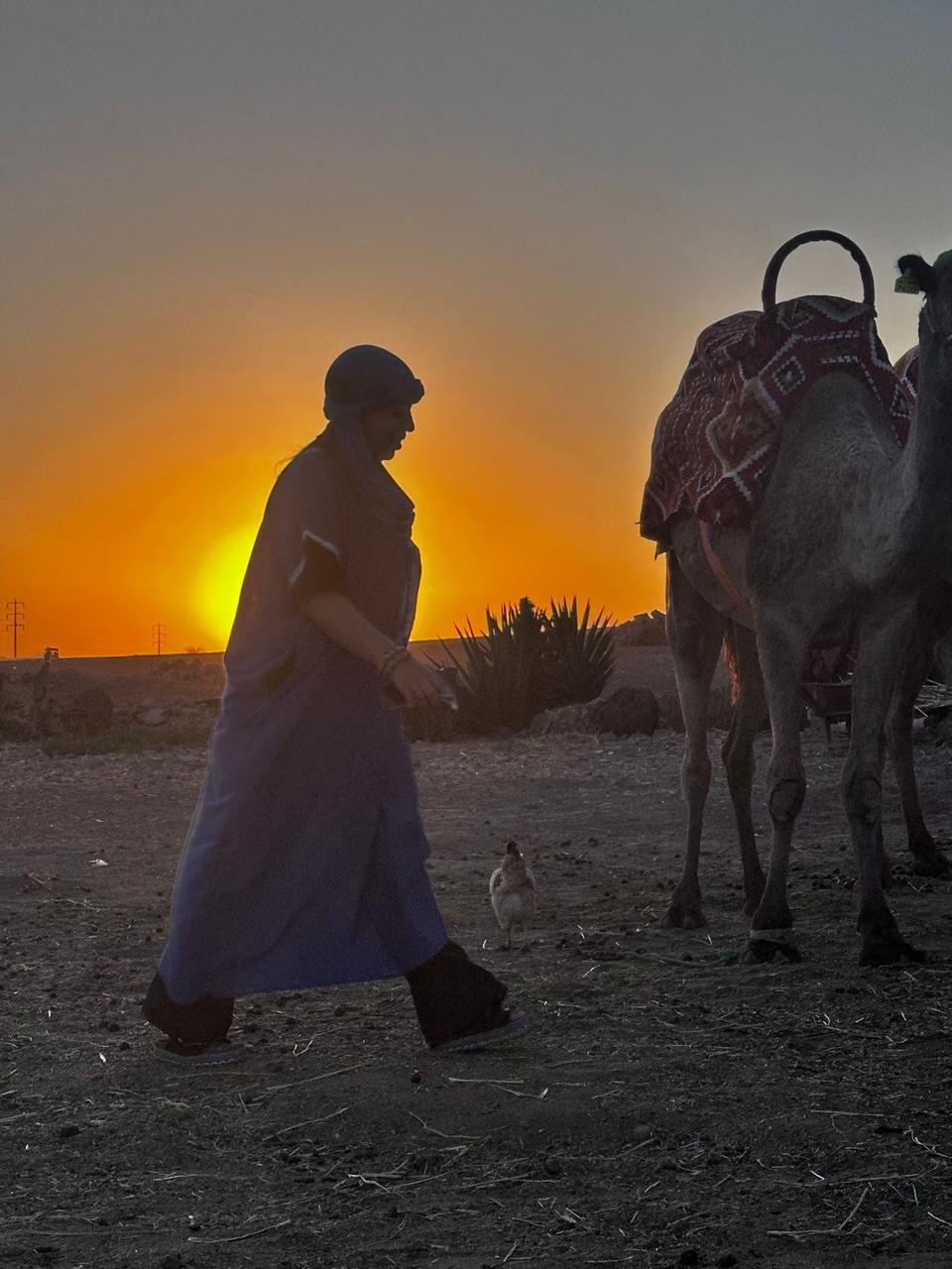 Quad + Dromadaire + Déjeuner au Désert d'Agafay