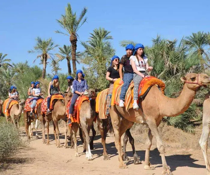 Balade en Dromadaire à la Palmeraie - 1H